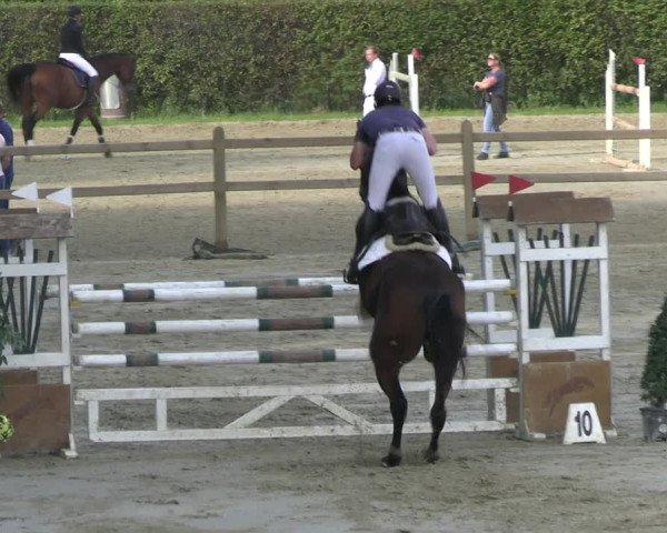 Reitturnier Kamen 2023