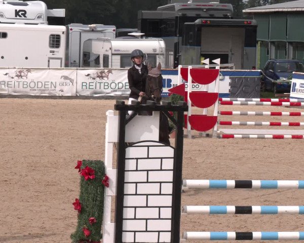 Reitturnier Ranshofen - Braunau am Inn 2023