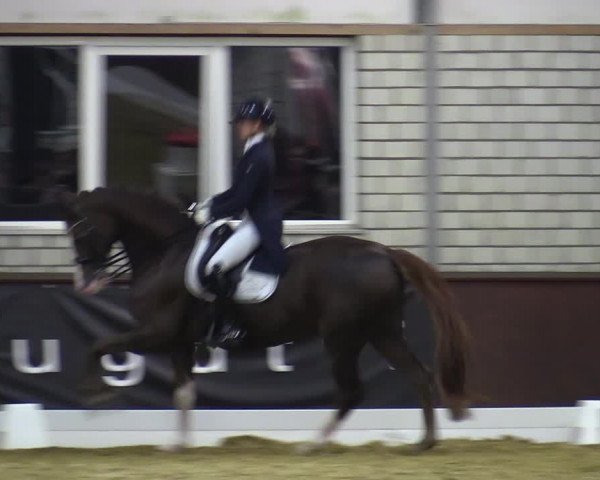 Reitturnier Bottrop-Kirchhellen 2023