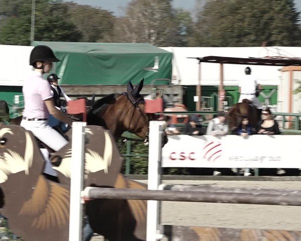 Reitturnier Giubiasco 2023
