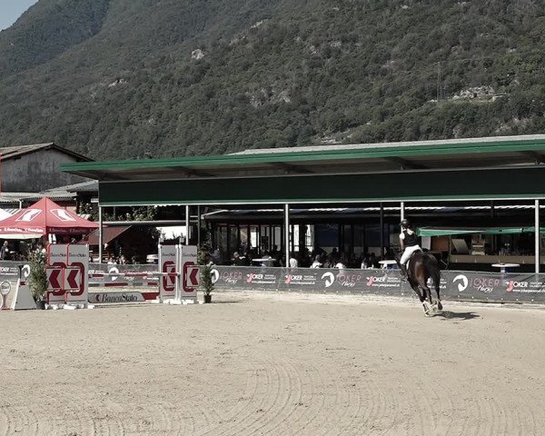 Reitturnier Giubiasco 2023