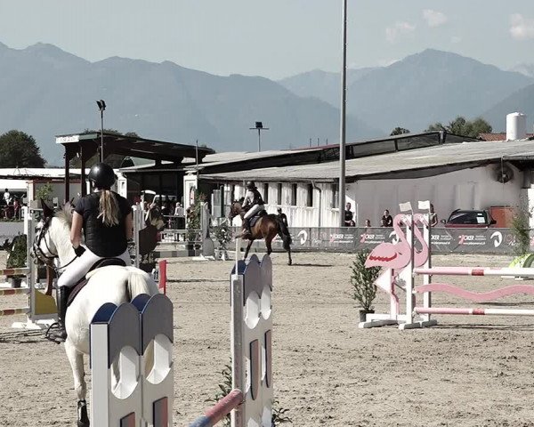 Reitturnier Giubiasco 2023