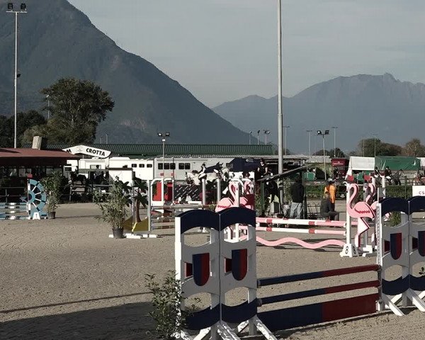 Reitturnier Giubiasco 2023
