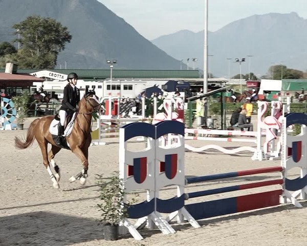 Reitturnier Giubiasco 2023