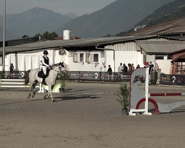 Reitturnier Giubiasco 2023