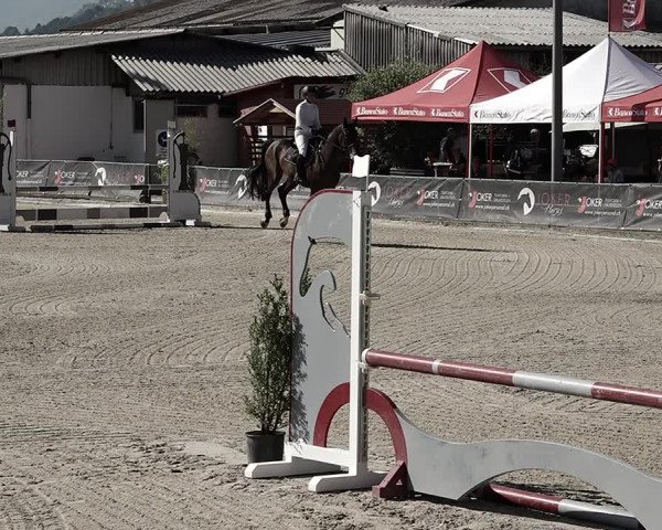 Reitturnier Giubiasco 2023