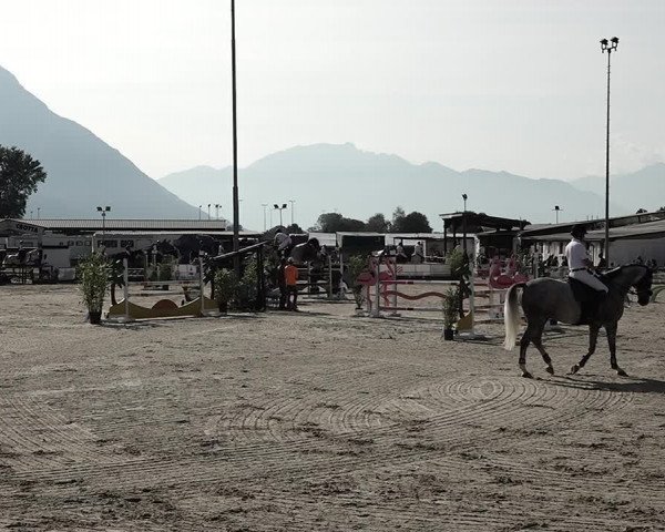 Reitturnier Giubiasco 2023