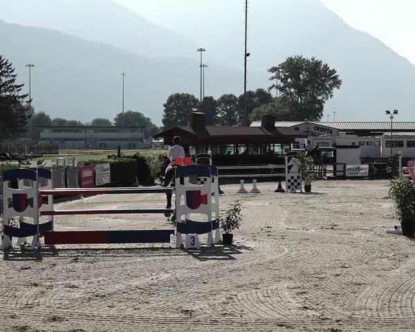 Reitturnier Giubiasco 2023
