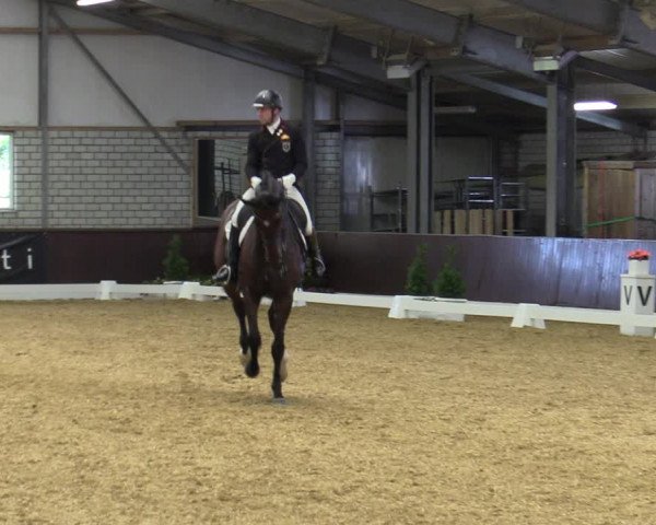 Reitturnier Bottrop-Kirchhellen 2023