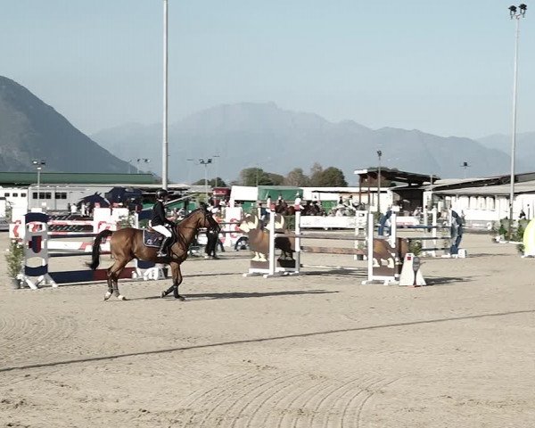 Reitturnier Giubiasco 2023