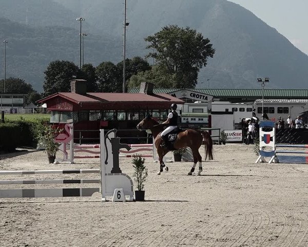 Reitturnier Giubiasco 2023