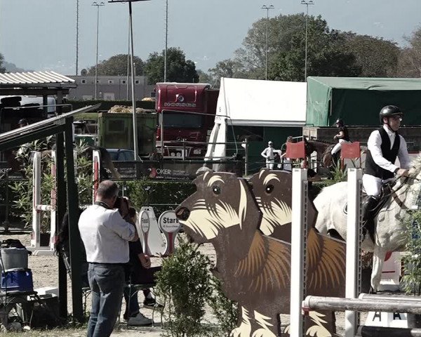 Reitturnier Giubiasco 2023