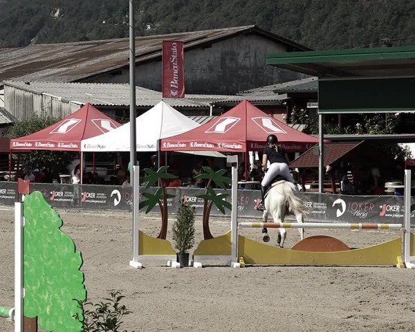 Reitturnier Giubiasco 2023