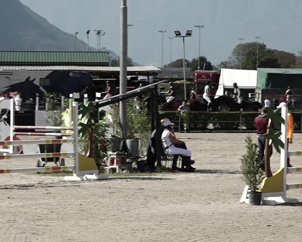 Reitturnier Giubiasco 2023