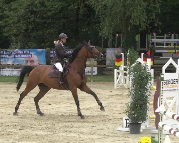 Springturnier Walldorf/Winterheck 2021