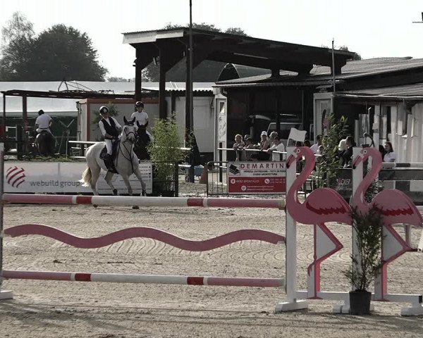 Reitturnier Giubiasco 2023