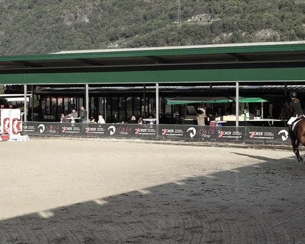 Reitturnier Giubiasco 2023