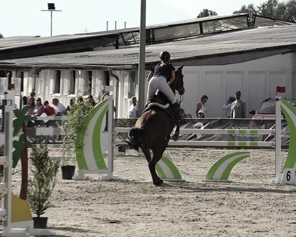 Reitturnier Giubiasco 2023
