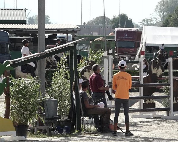 Reitturnier Giubiasco 2023