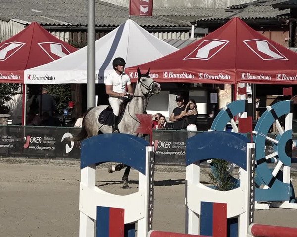 Reitturnier Giubiasco 2023