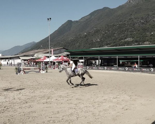 Reitturnier Giubiasco 2023