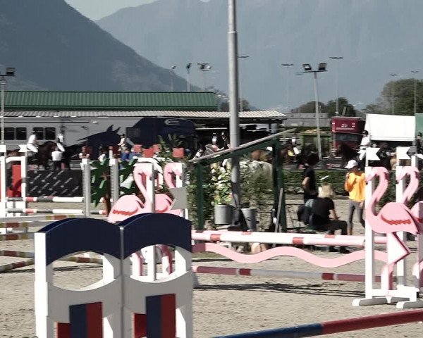 Reitturnier Giubiasco 2023