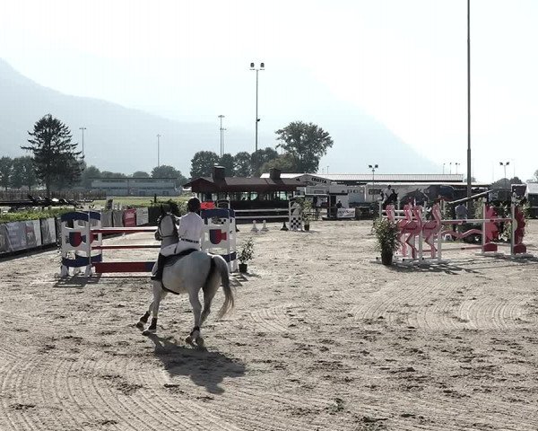 Reitturnier Giubiasco 2023