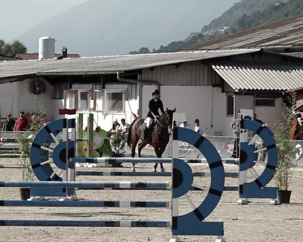 Reitturnier Giubiasco 2023