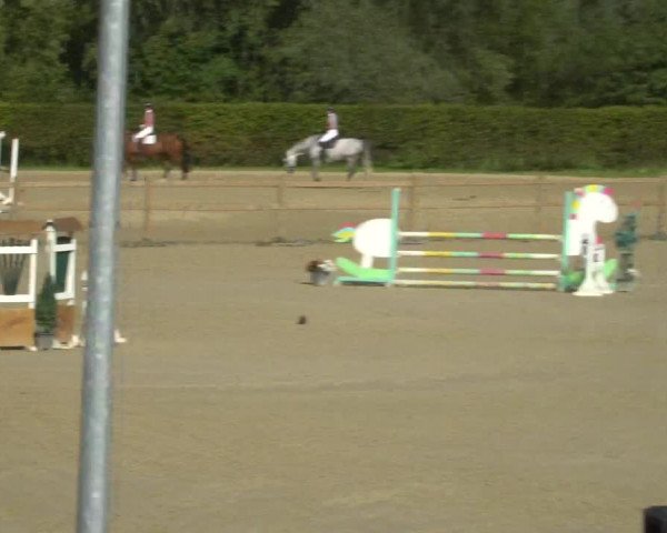 Reitturnier Kamen 2023