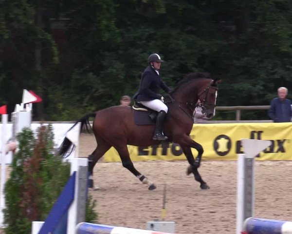 Reitturnier Albersdorf Dithmarsenpark 2021