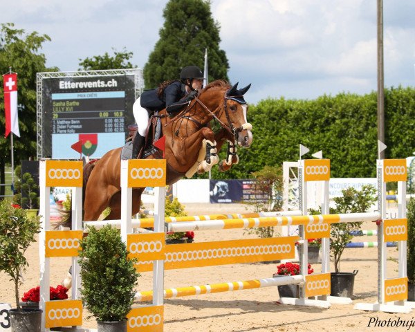 broodmare Lilly 601 (Hanoverian, 2010, from Lamberk)