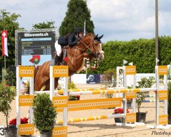 broodmare Lilly 601 (Hanoverian, 2010, from Lamberk)
