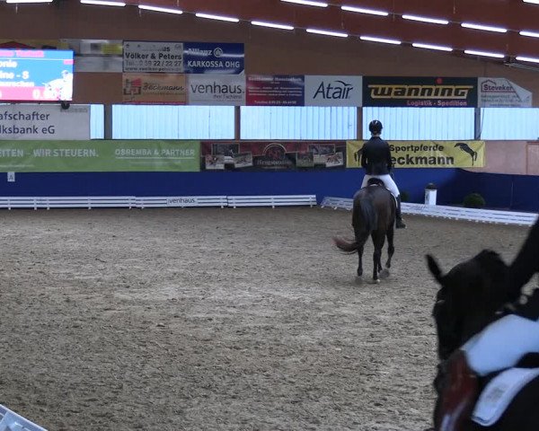 Reitturnier Isterberg 2023