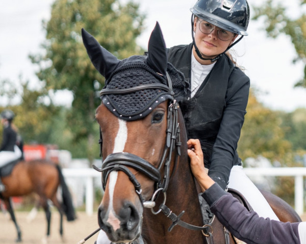 jumper Little Million (Holsteiner, 2018, from Million Dollar)