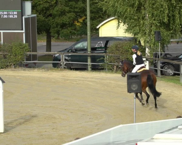 Reitturnier Kamen 2023