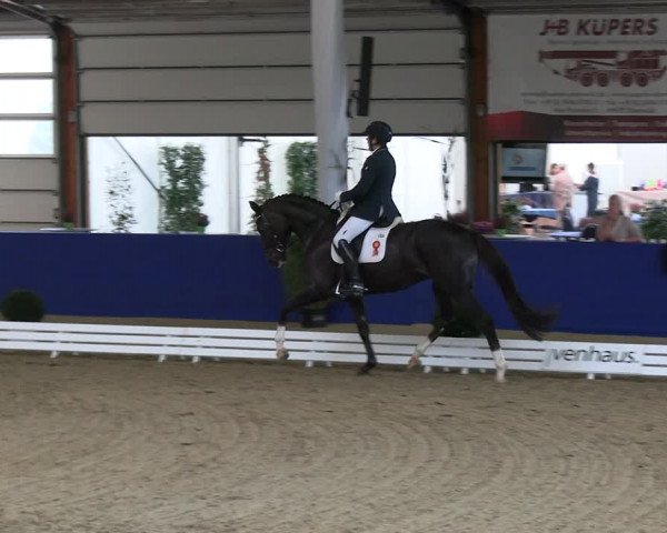 Reitturnier Isterberg 2023