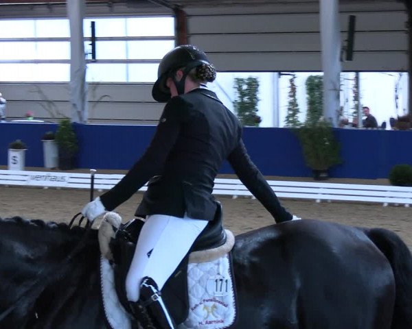 Reitturnier Isterberg 2023