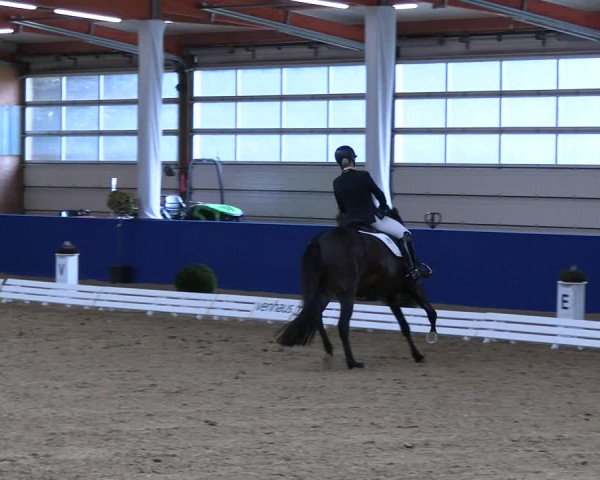 Reitturnier Isterberg 2023