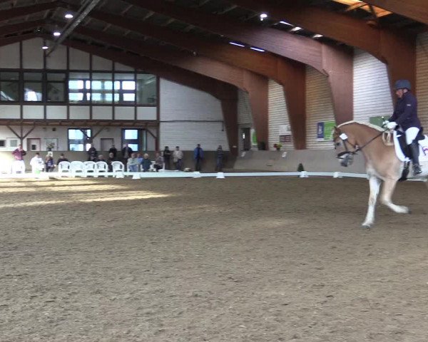 Reitturnier Kamen 2023