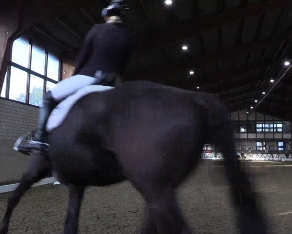 Reitturnier Kamen 2023