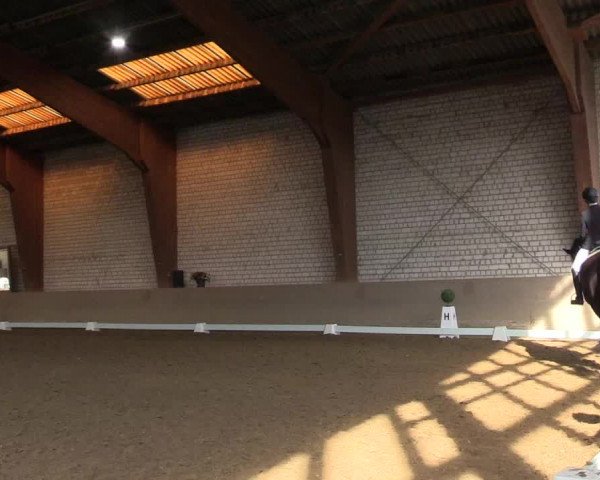Reitturnier Kamen 2023