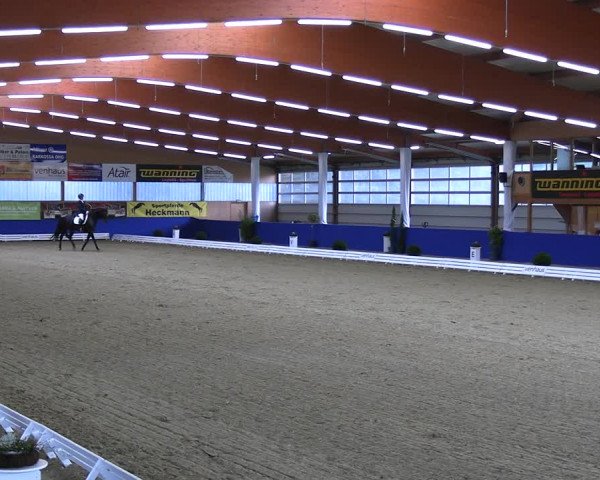 Reitturnier Isterberg 2023
