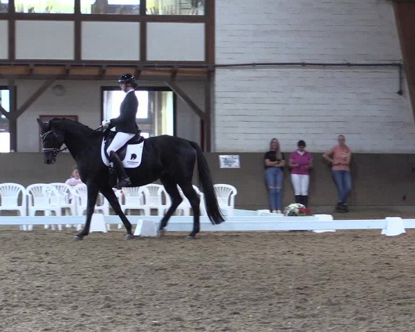 Reitturnier Kamen 2023