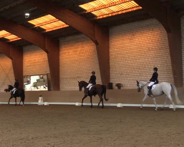 Reitturnier Kamen 2023