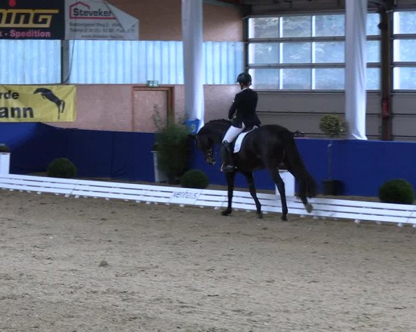 Reitturnier Isterberg 2023