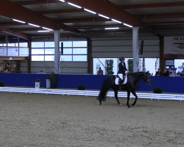 Reitturnier Isterberg 2023