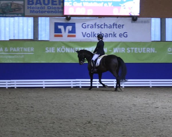 Reitturnier Isterberg 2023