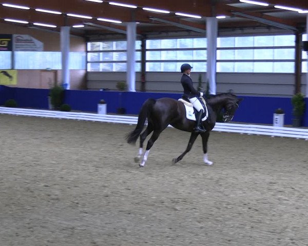 Reitturnier Isterberg 2023