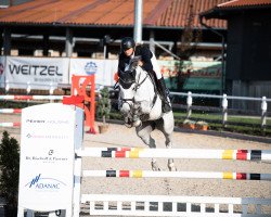 jumper Colette W 3 (Hanoverian, 2015, from Cristallo I)