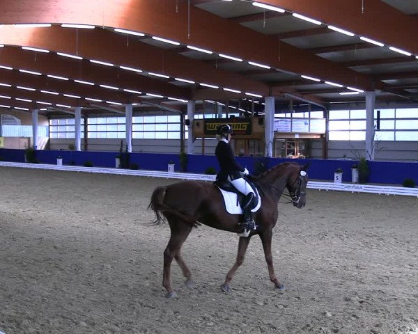 Reitturnier Isterberg 2023